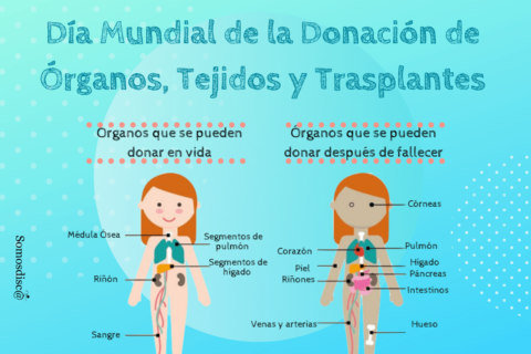 D A Mundial De La Donaci N De Rganos Tejidos Y Trasplantes Somosdisc