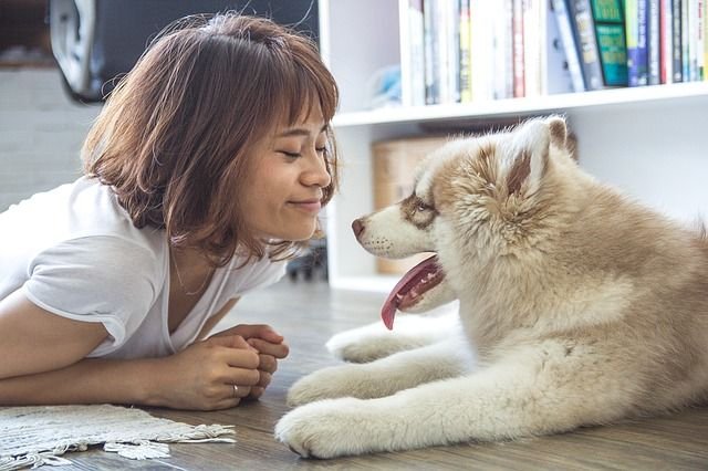 Zenit, el perro terapeuta