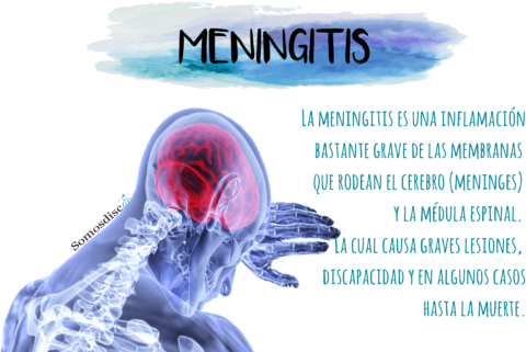 Día Mundial De La Meningitis - Somosdisc@