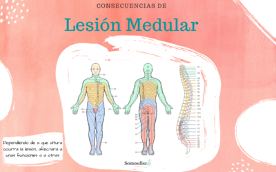 Problemas causados por una lesión medular