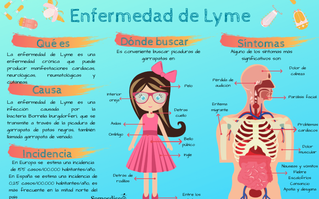 Infografía de la Enfermedad de Lyme