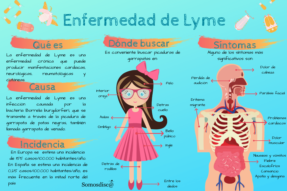Infografía Enfermedad de Lyme