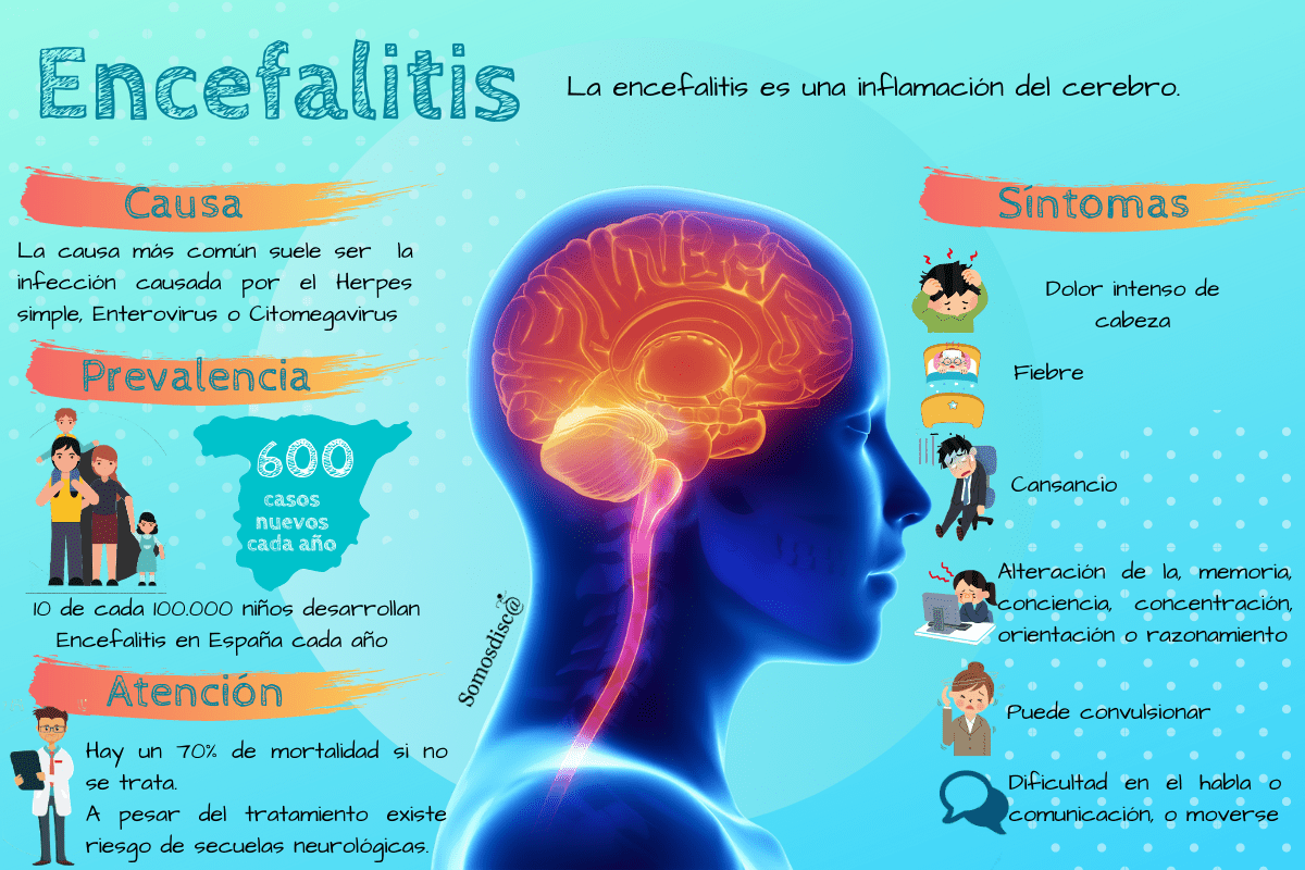 infografía Encefalitis