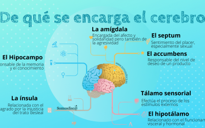 Infografía del cerebro