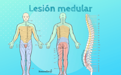 Lesión medular, cuales son sus tipos como afecta.