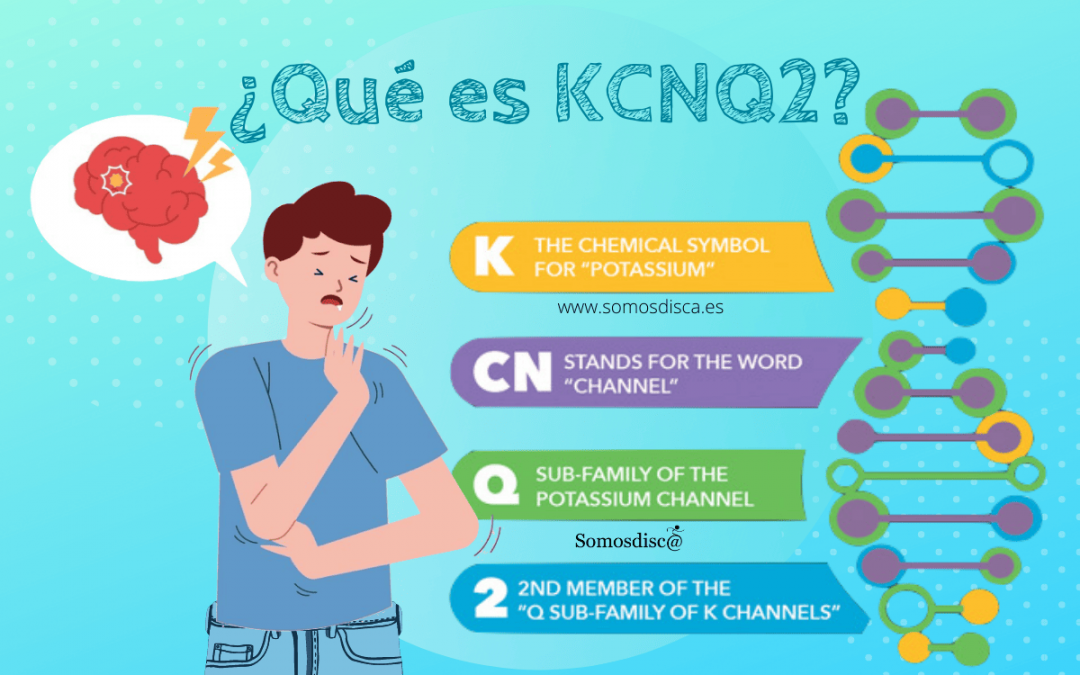 ¿Qué es KCNQ2?