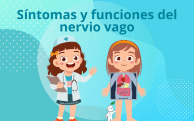 Nervio vago, su función y síntomas