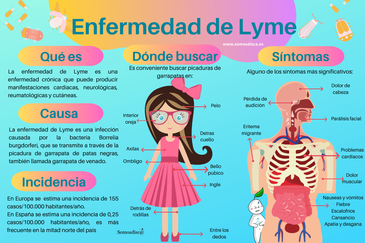 Infografía enfermedad de Lyme