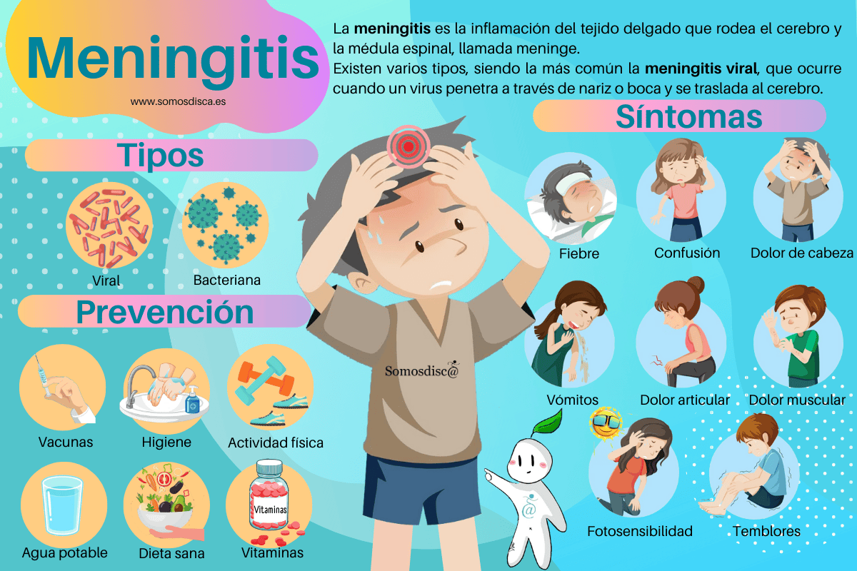 Infografía Maningitis