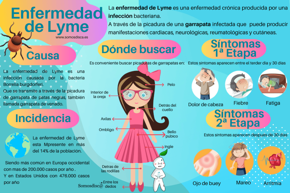 Día Mundial De La Enfermedad De Lyme 2023 - Somosdisc@