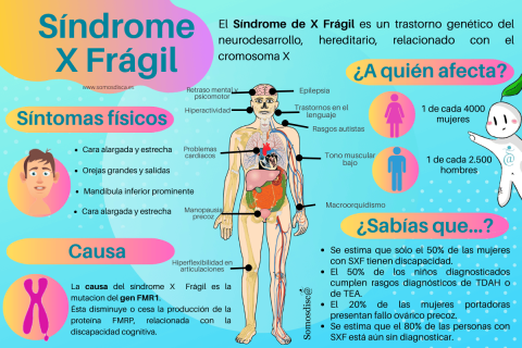 Día Mundial del Síndrome del Cromosoma X Frágil 2023 - Somosdisc@