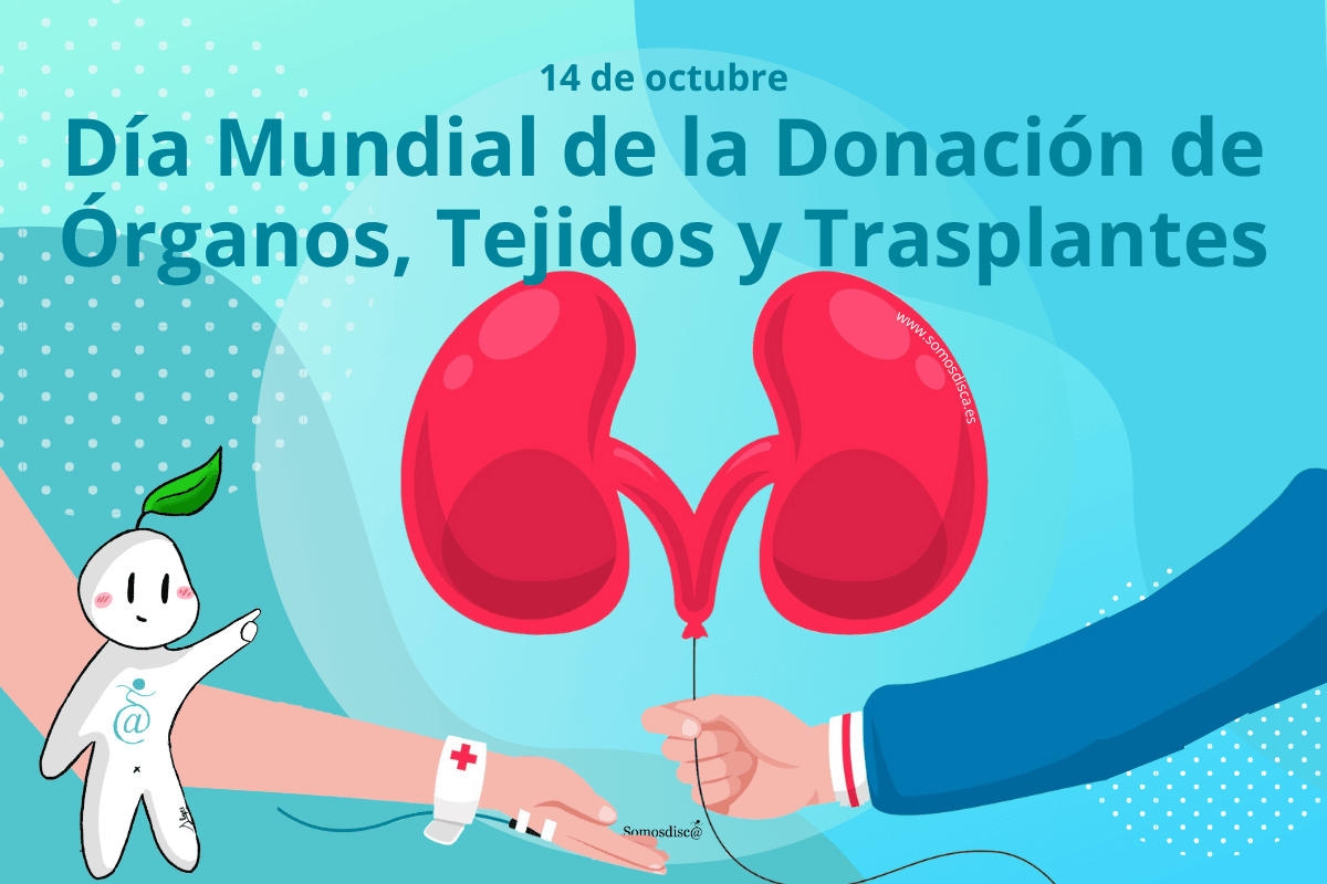 Día Mundial de la Donación de Órganos, Tejidos y Trasplantes.
