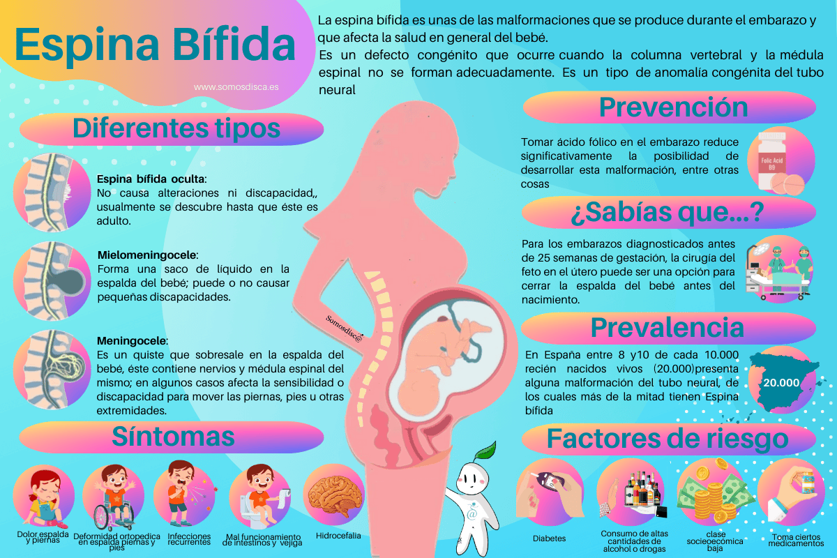 Infografía de la espina bífida
