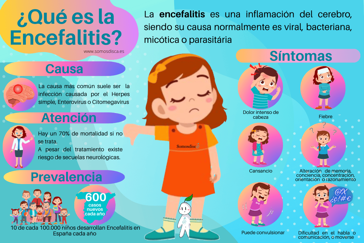 infografía Encefalitis
