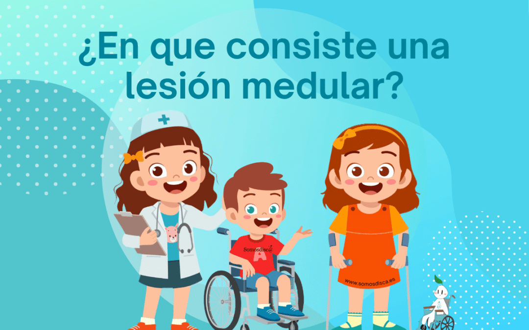 ¿En que consiste una lesion medular?