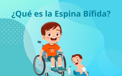 ¿Qué es la espina bífida?